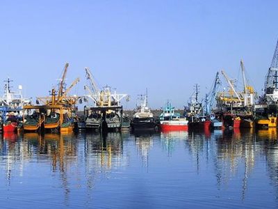Giresun’da Balıkçılara Av Yasağı Uyarısı Geldi