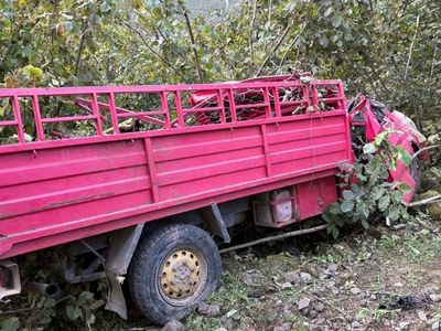 Giresun'da Kamyonet Devrildi: 4 Kişi Hayatını Kaybetti