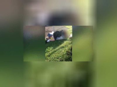 Giresun’da uygunsuz alanda yakalanan genç kız intihar mı etti? Görüntüleri kim çekti?