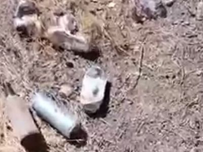 Gölet kenarlarına atılan çöpler tepki topluyor