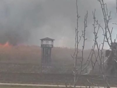 Gölünyazı Kuş Cenneti'nde Yangına Müdahale Devam Ediyor