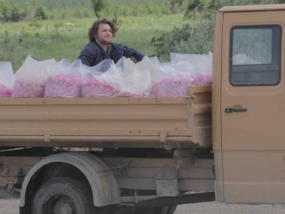 Güller Ülkesi Damascena film konusu ve oyuncuları