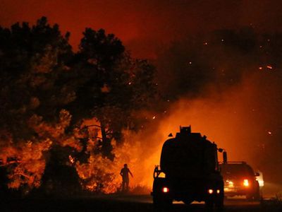 Orman Yangınlarını Araştırmak İçin Özel Ekip Kuruldu