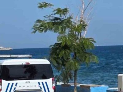 Güzelyalı Burgaz Sahili'nde denizde hareketsiz bulunan kişi hastanede hayatını kaybetti
