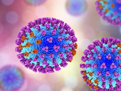 H3N8 virüsü nedir, nasıl bulaşır? Çin'de görülen H3N8 virüsü belirtileri neler?