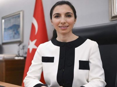 Hafize Gaye Erkan bankacılarla bir araya geliyor: Talep ve sorunlar görüşülecek