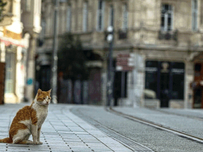 Hafta İçi Akşam Yasağı Ne Zaman?