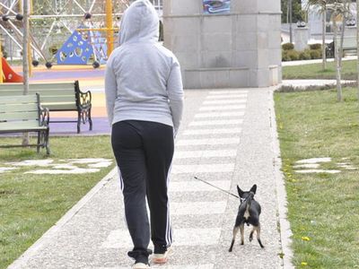 Hafta Sonu Kısıtlamasıyla Parklar Köpeklerini Gezdiren Vatandaşlara Kaldı