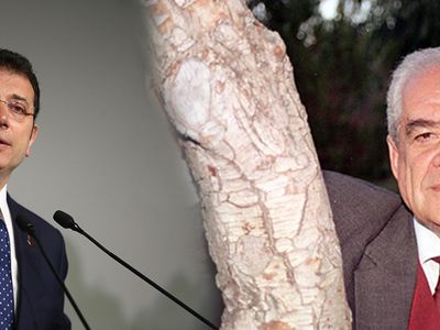 Nurettin Sözen ile Ekrem İmamoğlu'nun Benzerlikleri Dikkat Çekti! Haliç Kokuyordu Şimdi Marmara Kokuyor