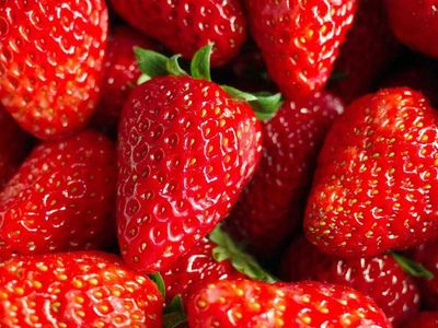 Hamileler çilek tüketebilir mi? Hamilelik sürecinde çilek tüketmenin faydaları