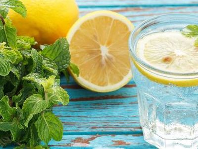 Hamilelikte Nane Limon İçilir Mi?