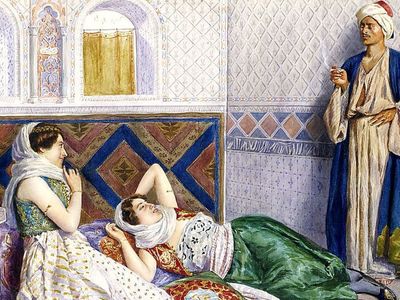 Harem Ağaları Erkek midir, Nasıl Seçilirler, Özellikleri Nelerdir?