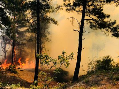 Hatay ve Muğla’da korkutan yangın: Ekipler müdahale ediyor