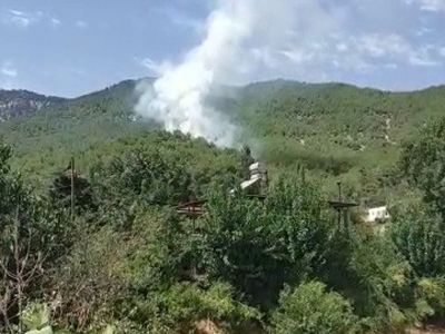 Hatay'da korkutan orman yangını! Ekipler seferber oldu