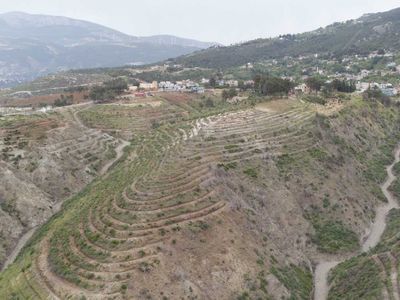 Hatay'da orman yangınlarından zarar gören 669 hektar alana 1 milyon 200 bin fidan dikildi
