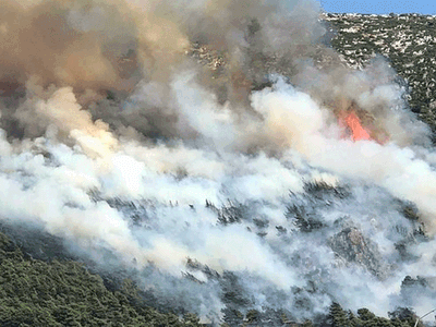 Hatay'da Yerleşim Yerlerine Yakın Bir Alanda Yangın