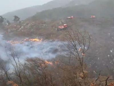 Hatay’ta Yangın: İskenderun İlçesi Kırsalında Orman Yangını Çıktı!