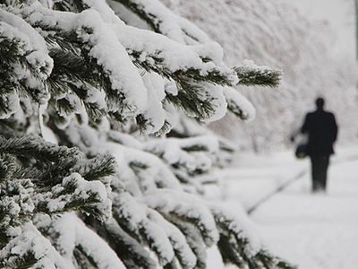 Hava giderek soğuyor: Uzmanlar uyardı, Türkiye donacak