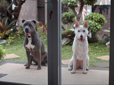 Haziran ve Kopi film konusu ve oyuncuları
