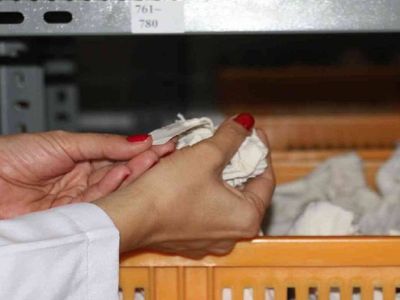 Herşey Türk tarımının geleceği için: Tohumlar soğuk ortamda muhafaza ediliyor