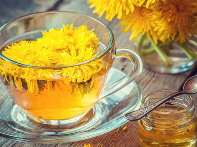 Hindiba nedir, faydaları nelerdir, neye iyi gelir? Hindiba çayı ve kahvesi nasıl demlenir? Vitamin zengini hindibanın yararları