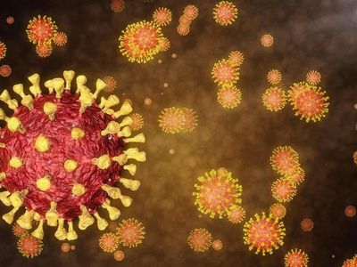 Hong Kong Üniversitesi Tüm Dünyaya Korku Salan Omicron Varyantını İlk Kez Görüntüledi