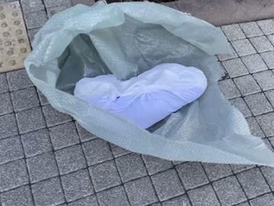 İBB Binası Önünde Ölü Köpek Skandalı!