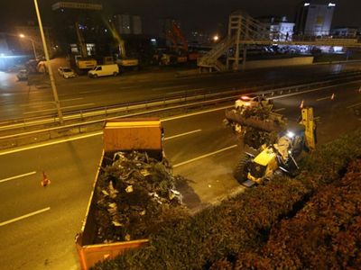İBB, Maltepe'de Dikey Bahçeleri Söktü