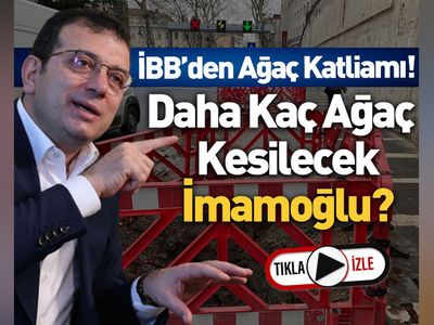 İBB ve Ekrem İmamoğlu'na tepki: Bu bir ağaç katliamıdır