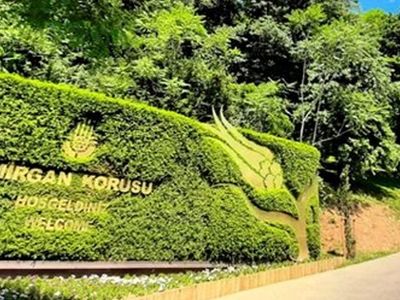İBB'nin ağaç kesme çalışmalarının yeni adresi Sarıyer'deki Emirgan Korusu!