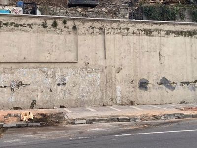 İBB’nin kestiği ağaçlarla ilgili pes artık dedirten iddia: Koca çınarlar şirketlerin kurbanı mı oldu?