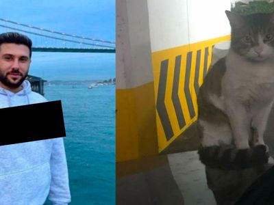 İbrahim Keloğlan kimdir, nereli ve kaç yaşında? İbrahim Keloğlan olayı nedir, neden tutuklanması isteniyor?