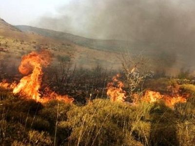 İçişleri'nden 'Orman Yangınlarına Karşı Alınacak Tedbirler' konulu sıcaklık genelgesi! 81 ile gönderildi
