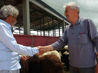 Iğdır kurbanlık fiyatları ne kadar? 2022 Iğdır büyükbaş, küçükbaş kurbanlık hisse fiyatları