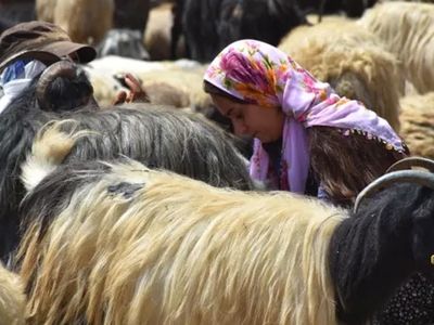 İki üniversite bitirdi ancak bu mesleği seçti! 10 kadına cesaret verdi, umut oldu!