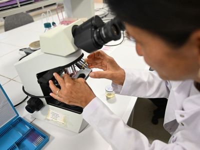 İklim Değişikliği Kestane Balının Kalitesini Tehdit Ediyor