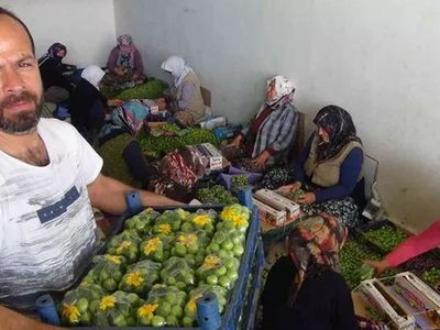 İlk çıktığında fiyatı dudak uçuklatıyordu, şuan kilosu 20 lira!