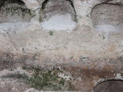 İlk kez görüldü: Jandarma bölgeyi koruma altına aldı