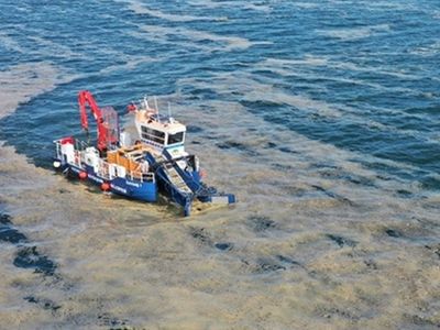 İlk Testlerin Sonuçları Çıktı! Müsilaj (Deniz Salyası) Neden Oluyor?