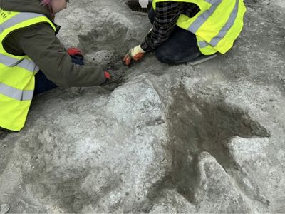 İngiltere'de dinozor ayak izi keşfedildi.