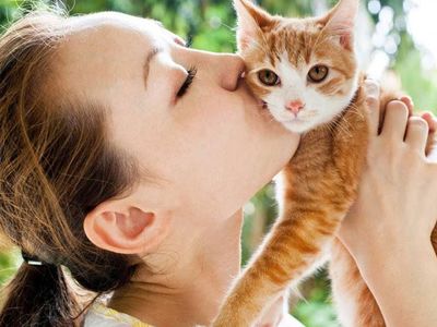 İnsan ve kedi dostluğunun sırrı çözüldü! Kediler neden bu kadar çok seviliyor?
