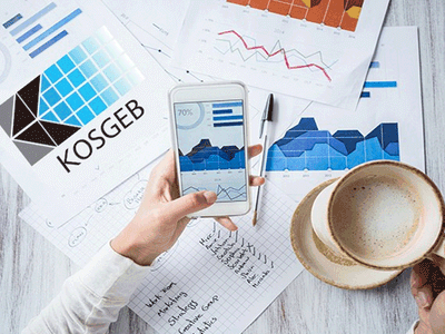 İş Planı Ödülü Destek Programı Nedir?
