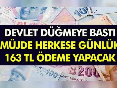 İŞKUR'dan binlerce işsize nakdi destek müjdesi! E-Devlet'ten başvurana günlük 163 TL ödeme yapılıyor