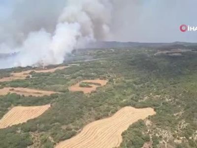 İspanya'da orman yangını: 11 bin dönümden fazla alan kül oldu