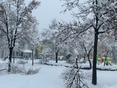 Isparta'da okullar tatil mi? 28 Mart 2022 yarın Isparta'da okullar tatil mi? Isparta Valiliği son dakika açıklamaları