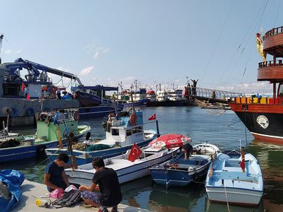 İstanbul Boğazı'nda 60 Yıl Sonra Kılıç Balığı Yakalandı!