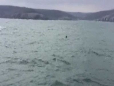 İstanbul Boğazı'nda korkutan görüntü: Boğazın girişinde mayın iddiası