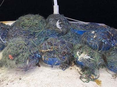 İstanbul İl Tarım ve Orman Müdürlüğü kullanımı yasaklı olan 8 bin metre kalkan ağına el koydu!