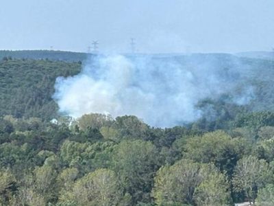 İstanbul Kemerburgaz Ormanı’nda yangın: Ekiplerin müdahalesi başladı