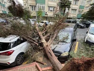 İstanbul Valiliği’nden son dakika açıklaması: Dün akşam başlayan fırtınada bir kişi hayatını kaybetti